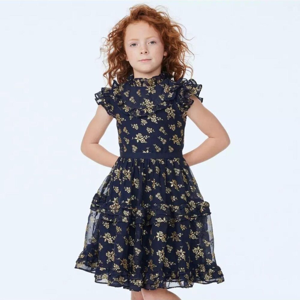Janie & Jack Girls 4 Glitter Gold Floral Chiffon Dress Navy Blue Marine Sparkle